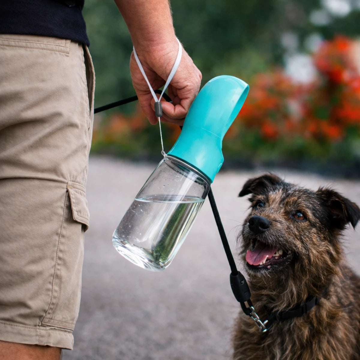 Doggy Water Bottle