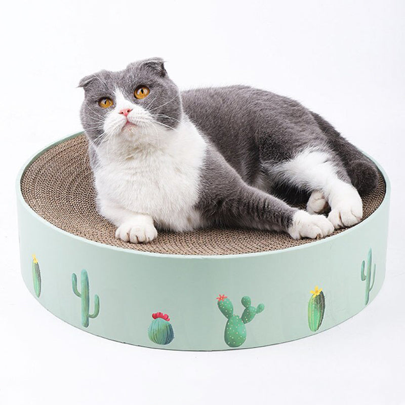 2-in-1 Cat Scratcher Lounge
