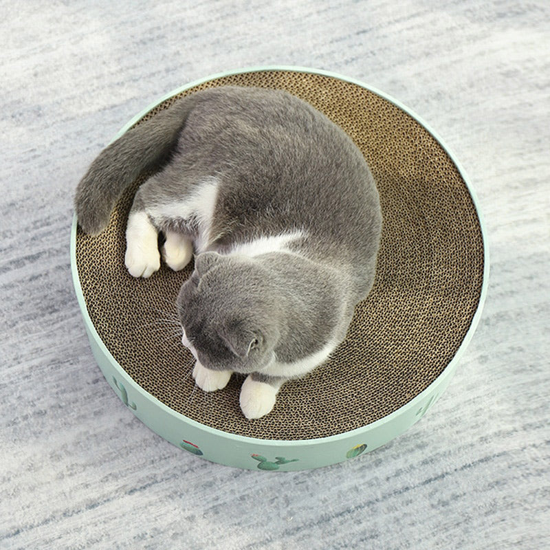 2-in-1 Cat Scratcher Lounge