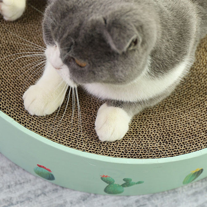 2-in-1 Cat Scratcher Lounge