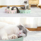 2-in-1 Cat Scratcher Lounge