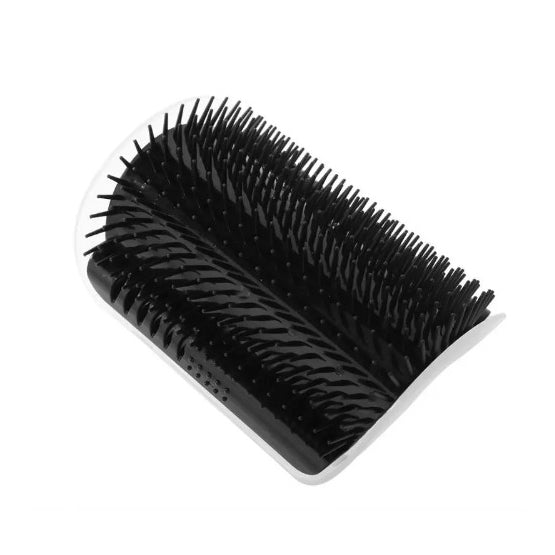 Groom 'N Go <br> Self-Grooming Brush with Catnip