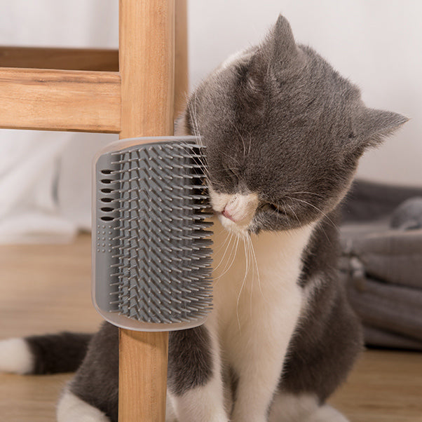 Groom 'N Go <br> Self-Grooming Brush with Catnip