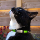 Personalized Reflective Cat Collar - HappyPawShop