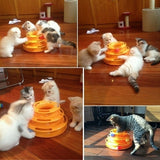 Cat Coaster Interactive Amusement Track