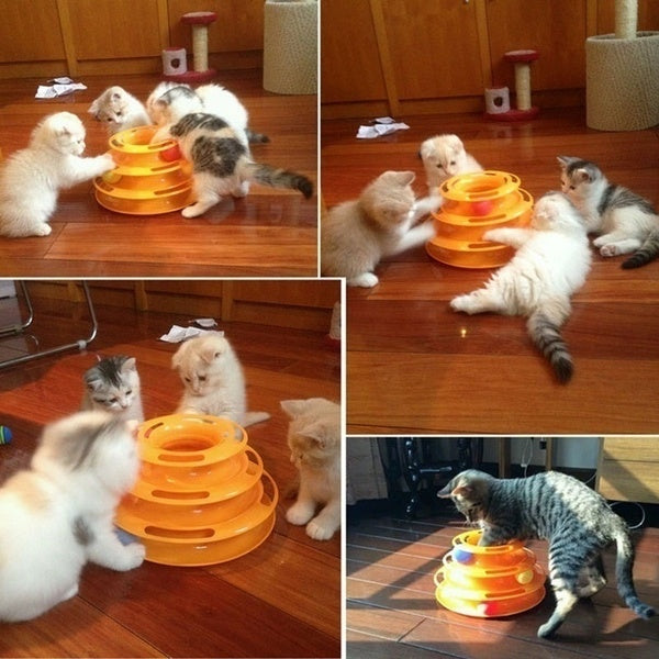 Cat Coaster Interactive Amusement Track