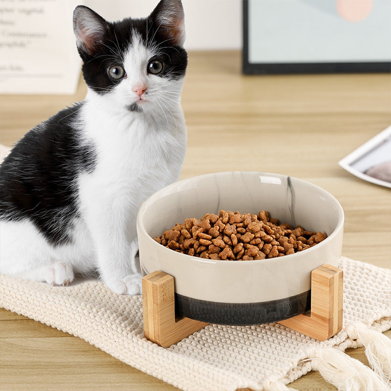 Ceramic Pet Bowl with Wooden Stand
