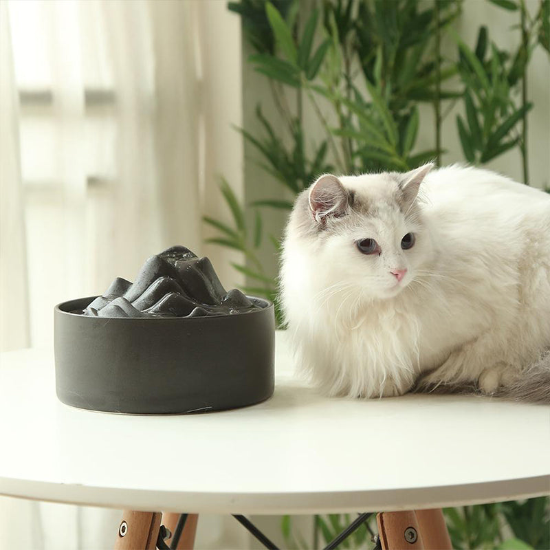 Automatic Ceramic Water fountain