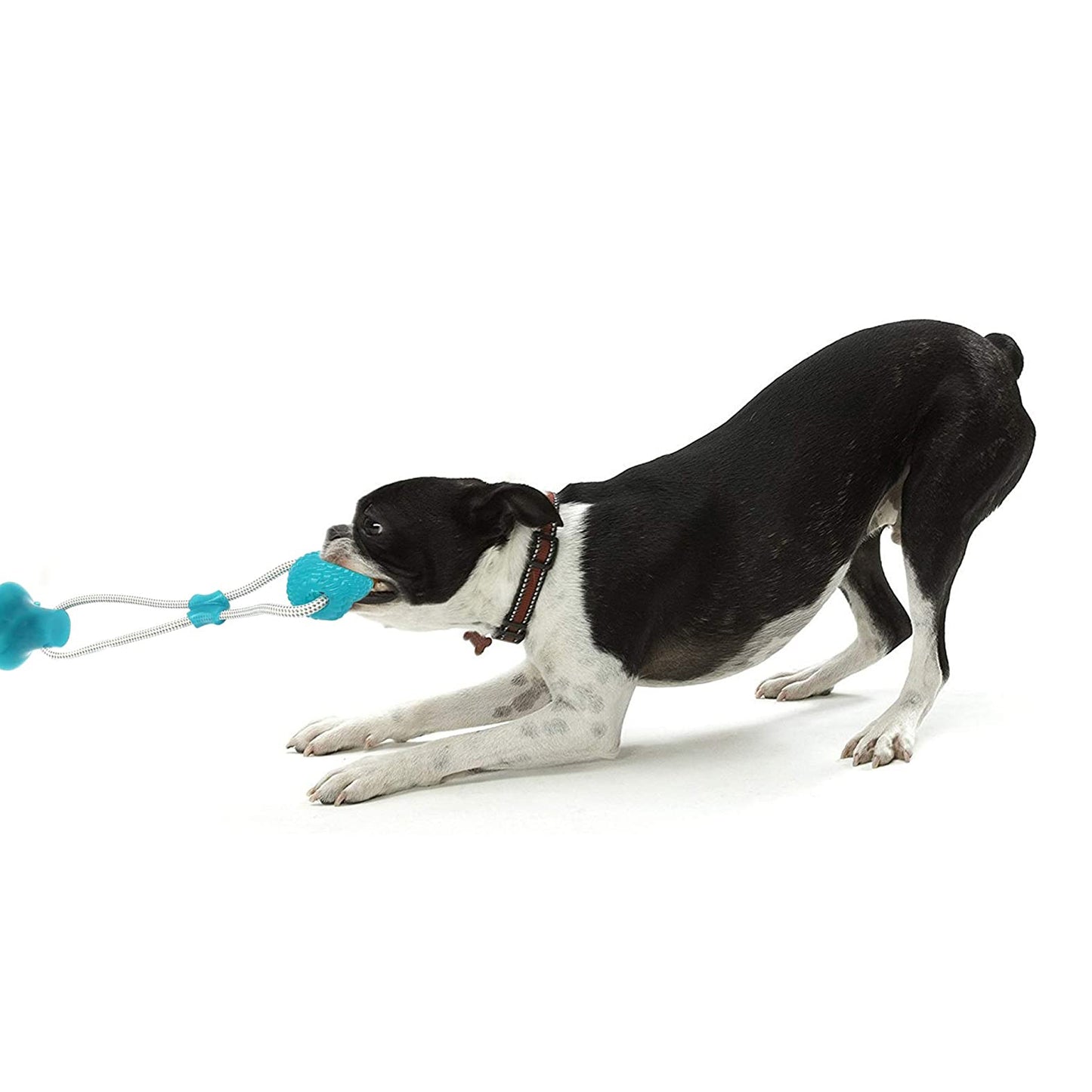 DogTug Interactive Rubber Chew Toy