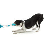 DogTug Interactive Rubber Chew Toy