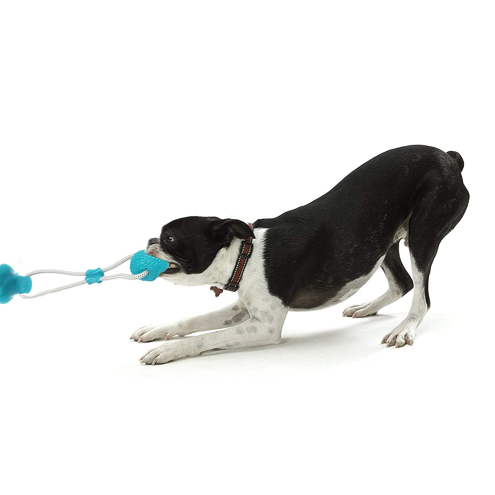 DogTug Interactive Rubber Chew Toy
