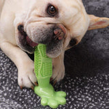 EasyClean DIY Dog Toothbrush