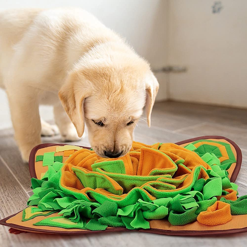 Snuffle Mat