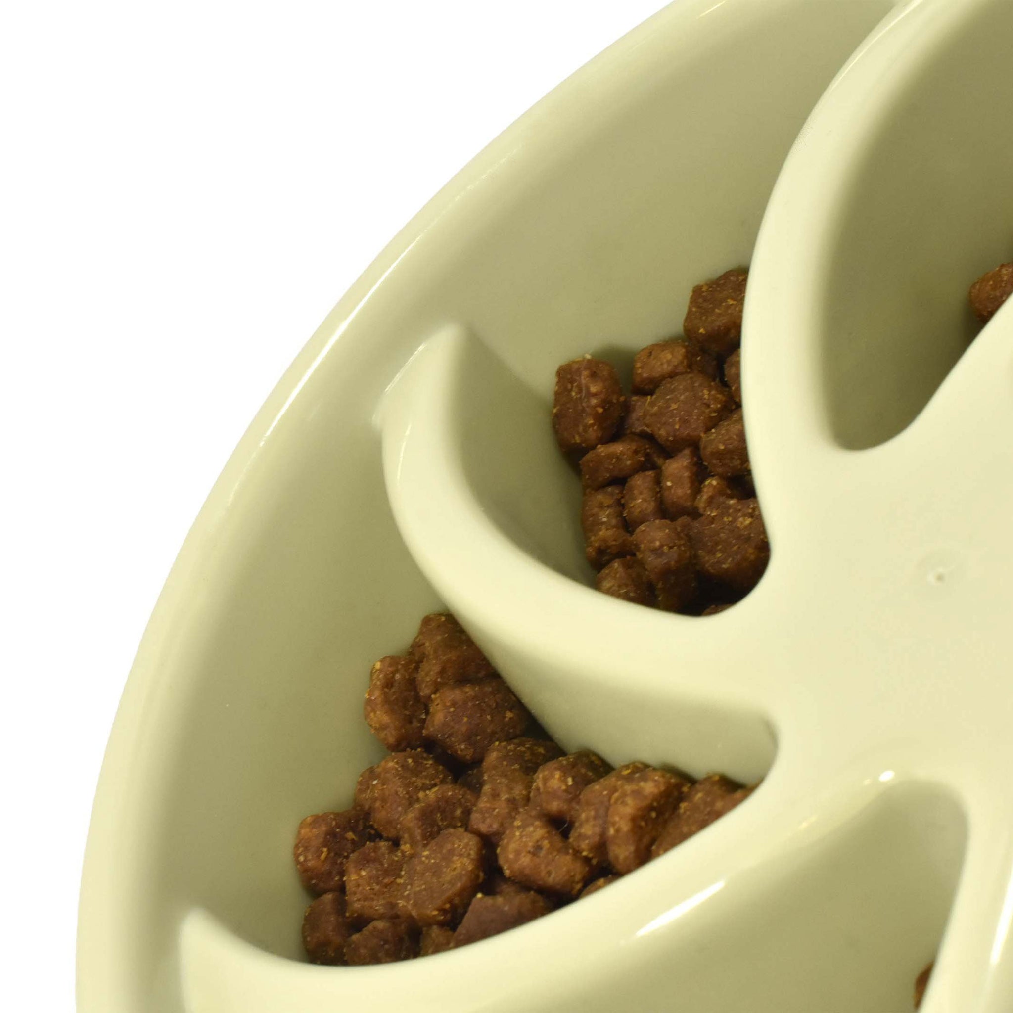 SlowFeeder Anti-Gulp Dog Bowl