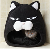 Grumpy Cat Cave