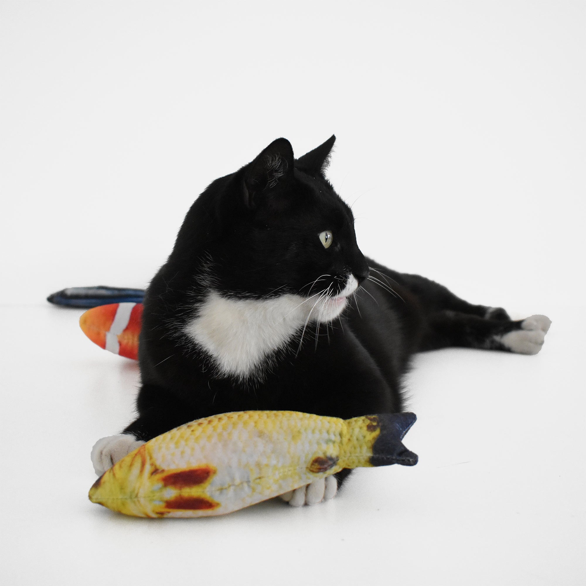 KickerFish Plush Cat Toy with Catnip