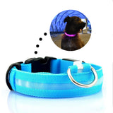 LED Safety Dog Collar
