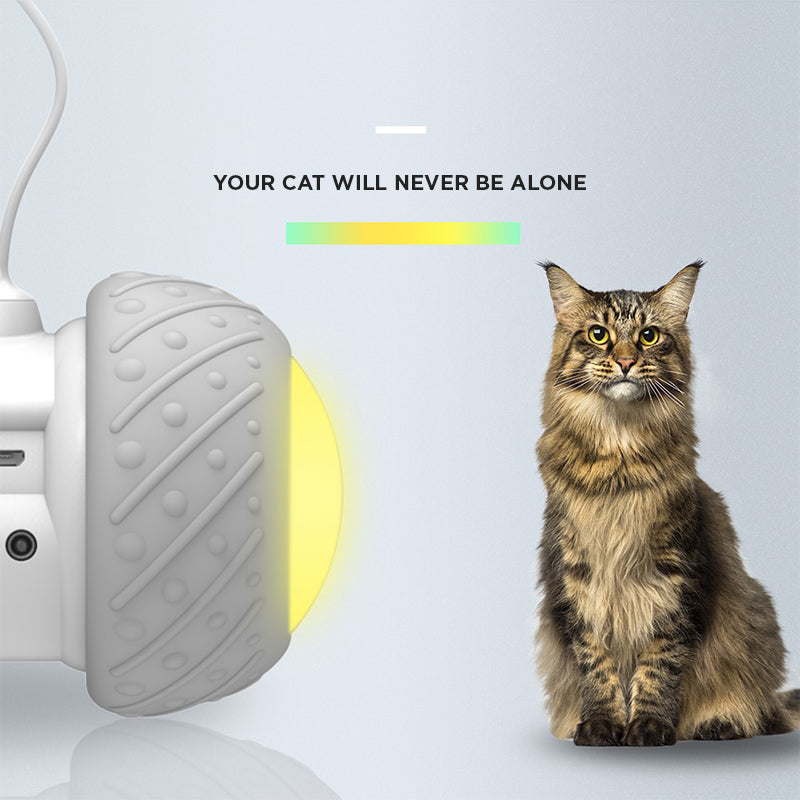 LED Wheel Smart Electronic Cat Toy