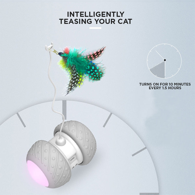 LED Wheel Smart Electronic Cat Toy