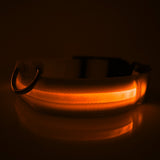 LED Safety Dog Collar - HappyPawShop