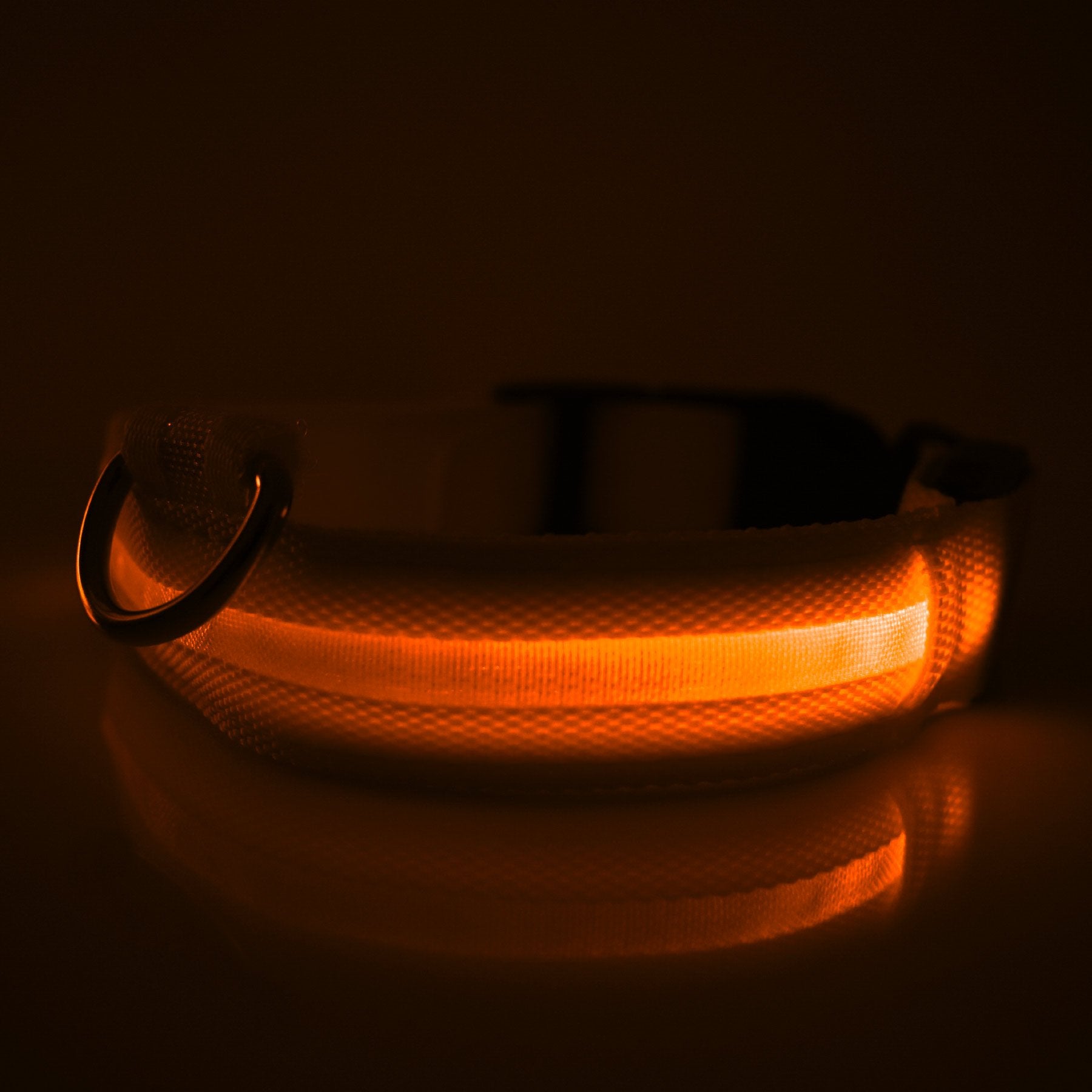 LED Safety Dog Collar - HappyPawShop