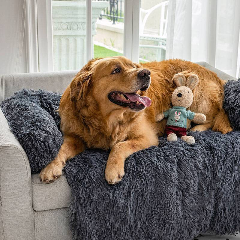 Calming Furniture Protector Bed
