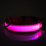 LED Safety Dog Collar - HappyPawShop