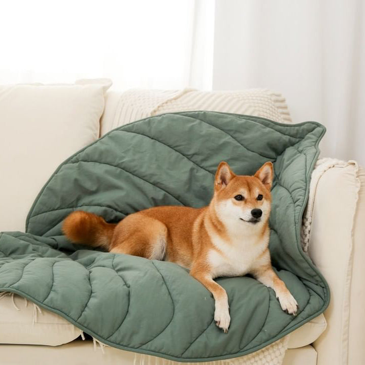 Silky-Soft Leaf Pet Mat