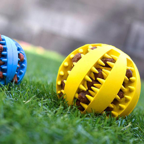 SlowFeeder Rubber Treat Ball