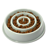 SlowFeeder Anti-Gulp Dog Bowl