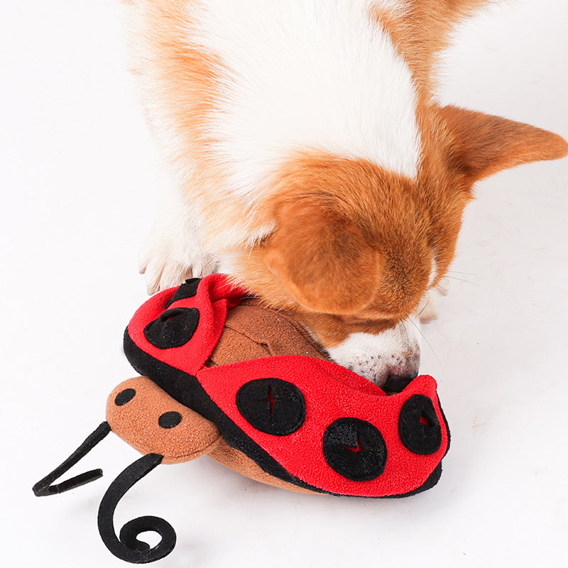 Squeaky Hide & Seek Plush Dog Toy