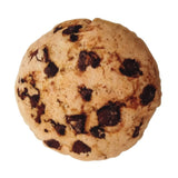 Plush Catnip Foodie Toy
