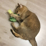 Plush Catnip Foodie Toy