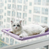 Sunny Window Cat Hammock