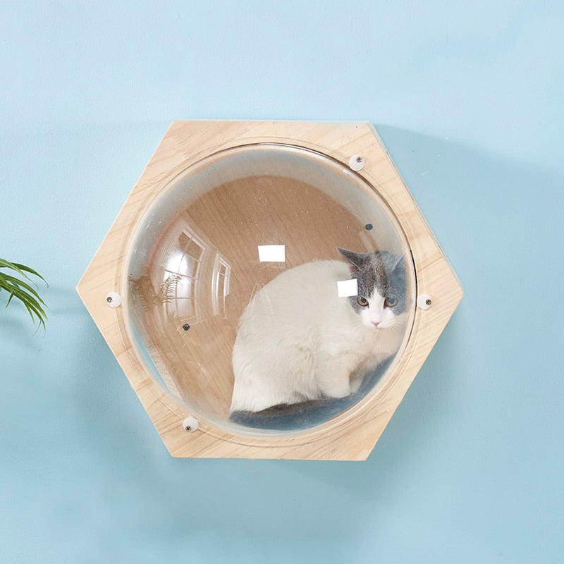 Wall-Mounted Cat Capsule