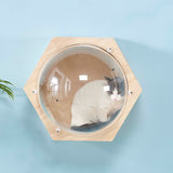Wall-Mounted Cat Capsule