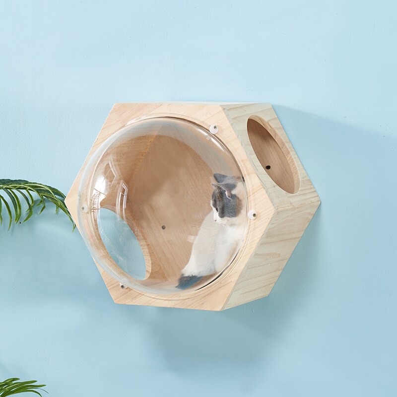Wall-Mounted Cat Capsule