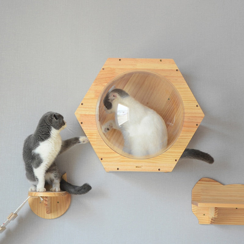 Wall-Mounted Cat Capsule