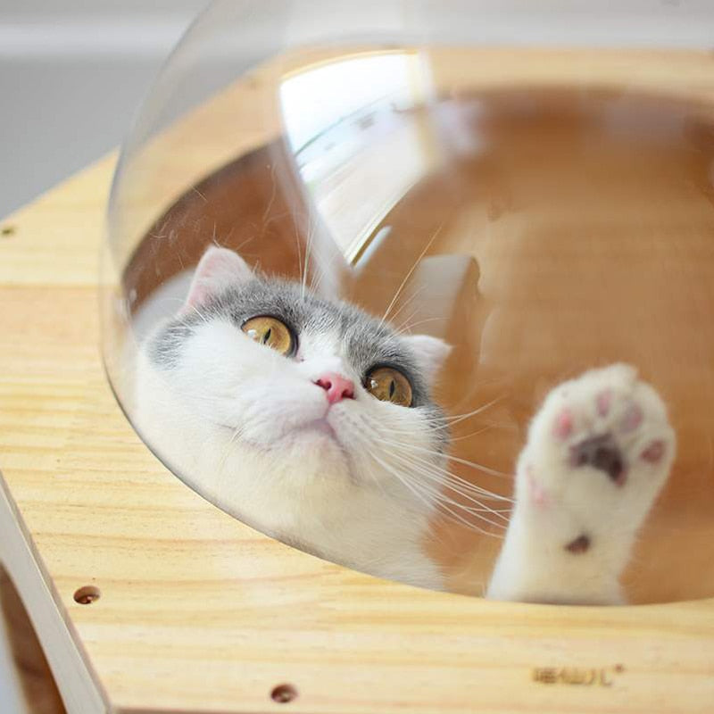 Wall-Mounted Cat Capsule