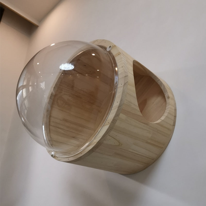 Wall-Mounted Cat Capsule