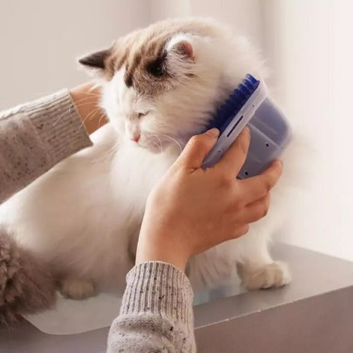 Groom 'N Go <br> Self-Grooming Brush with Catnip