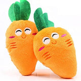Squeaky Plush Chew Toy - HappyPawShop