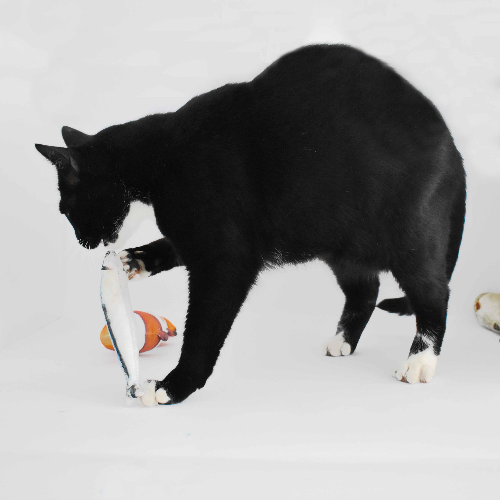KickerFish Plush Cat Toy with Catnip